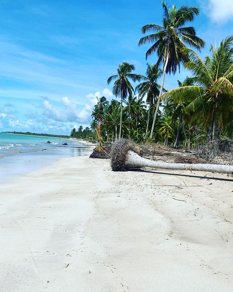 Casa Alagoana Porto de Pedras Rota dos Milagres