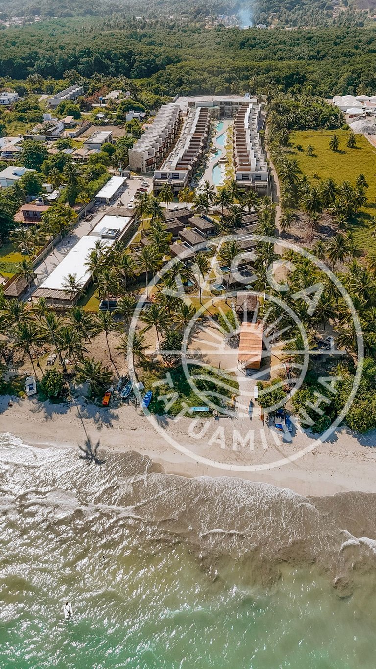 Yucca Tatuamunha - Naay