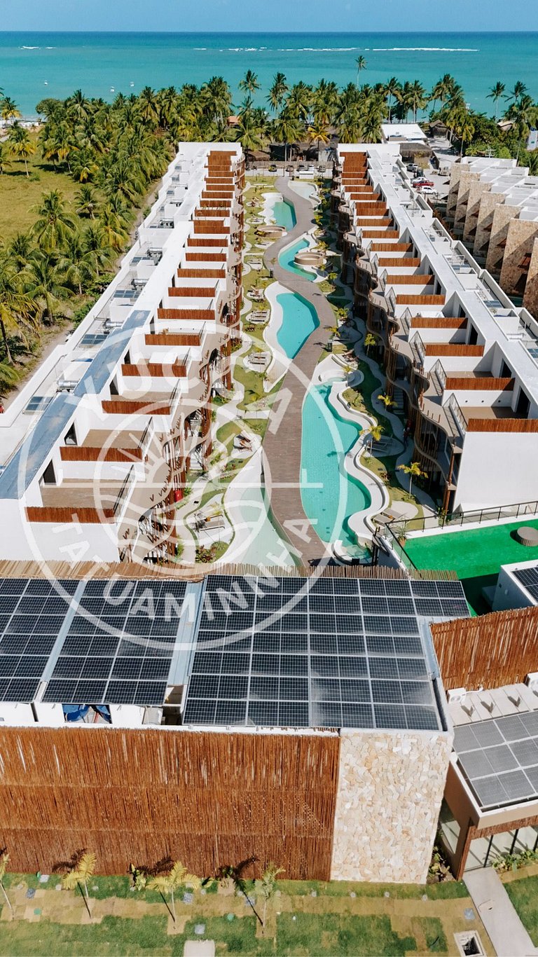 Yucca Tatuamunha - Naay