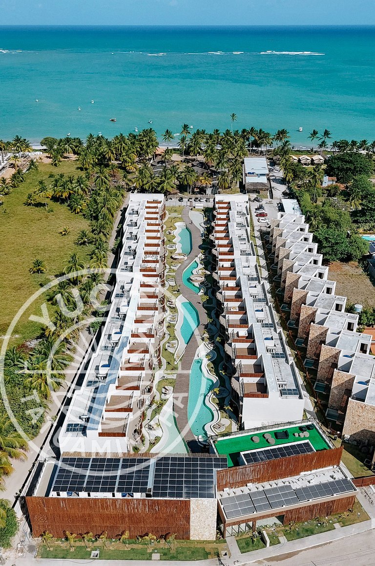 Yucca Tatuamunha - Naay