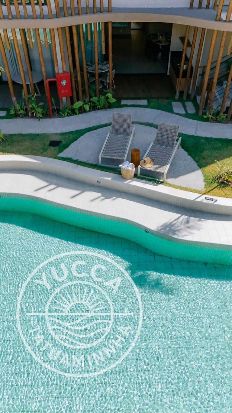 Yucca Tatuamunha - Naay