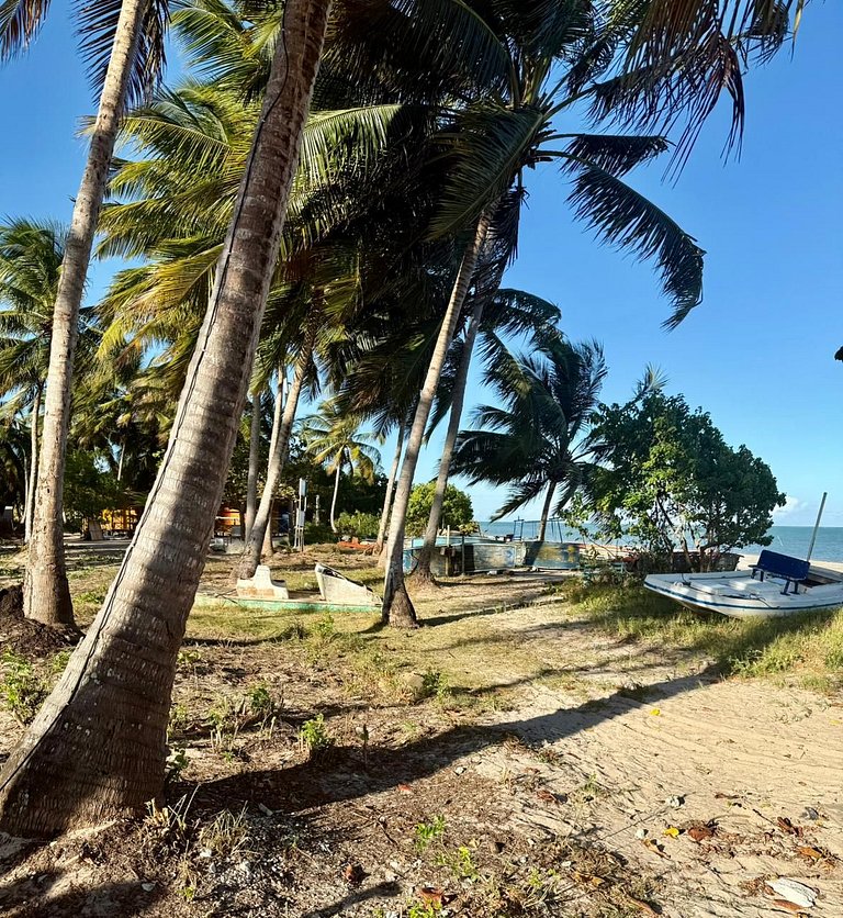 Beira Mar Tatuamunha Naay River 3