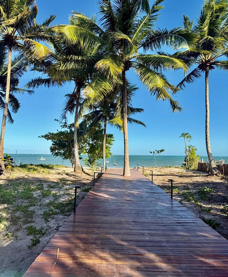 Beira Mar Porto de Pedras Tatuamunha Palm 10