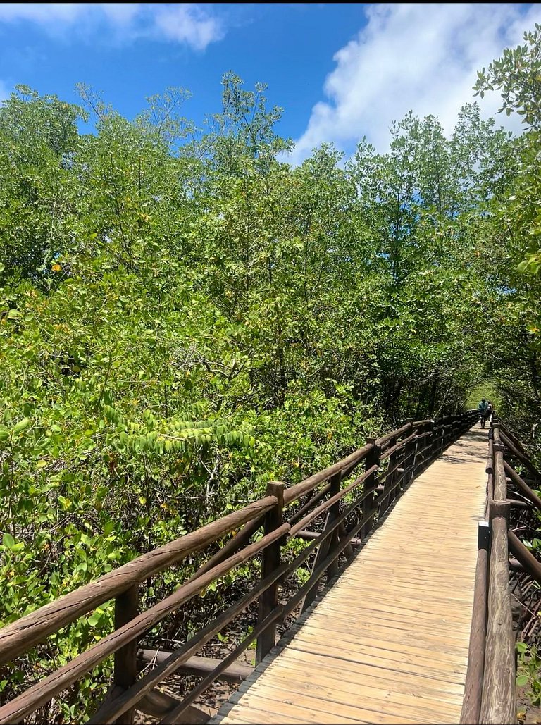 Beira mar porto de pedras rota dos milagres