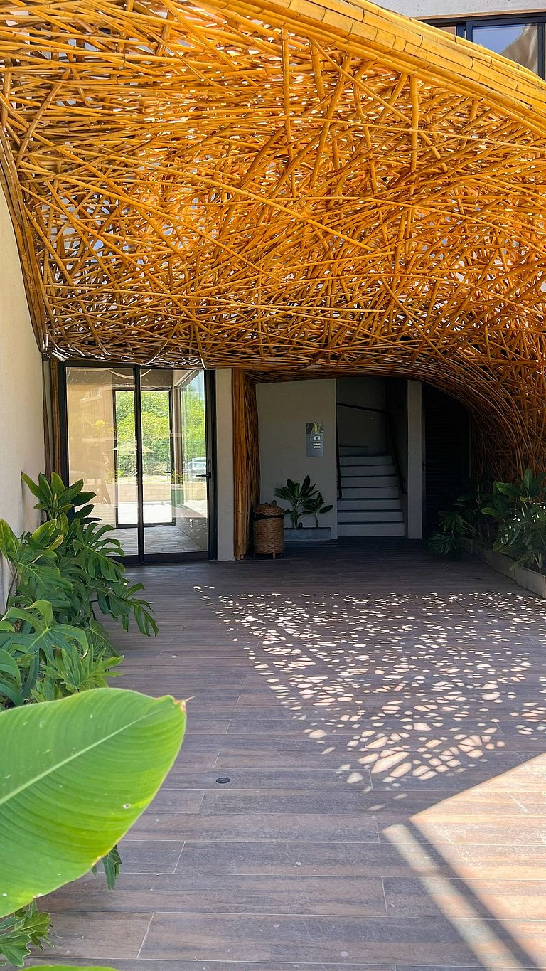 Beira Mar Porto de Pedras Tatuamunha Palm 10