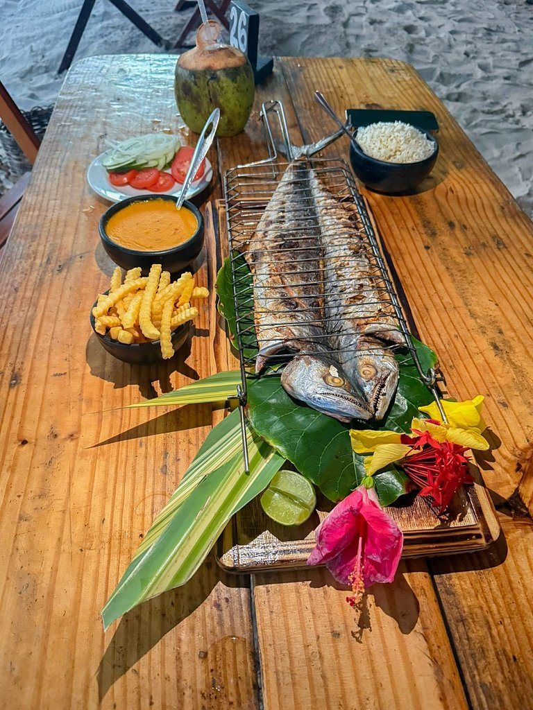 Beira mar Porto de Pedras Tatuamunha Tuchá