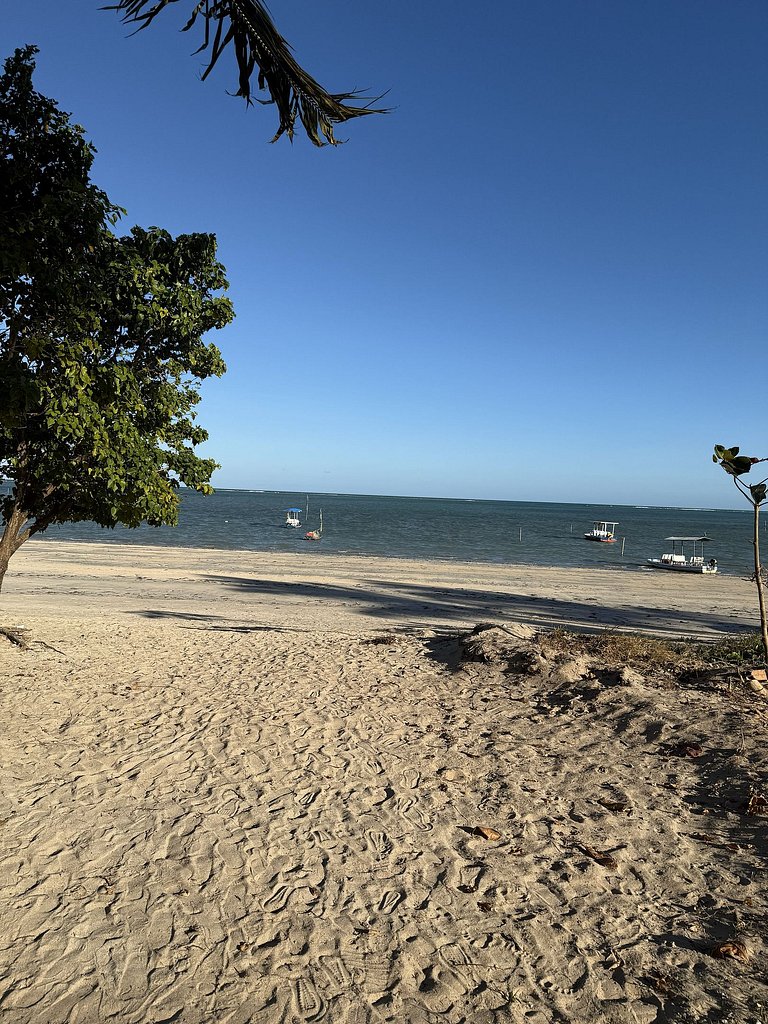 Beira mar Porto de Pedras Tatuamunha Naay Nature