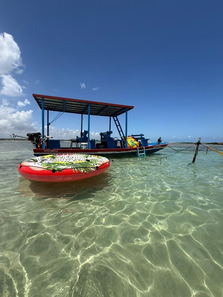 Manatee Patacho Milagres Porto de Pedras