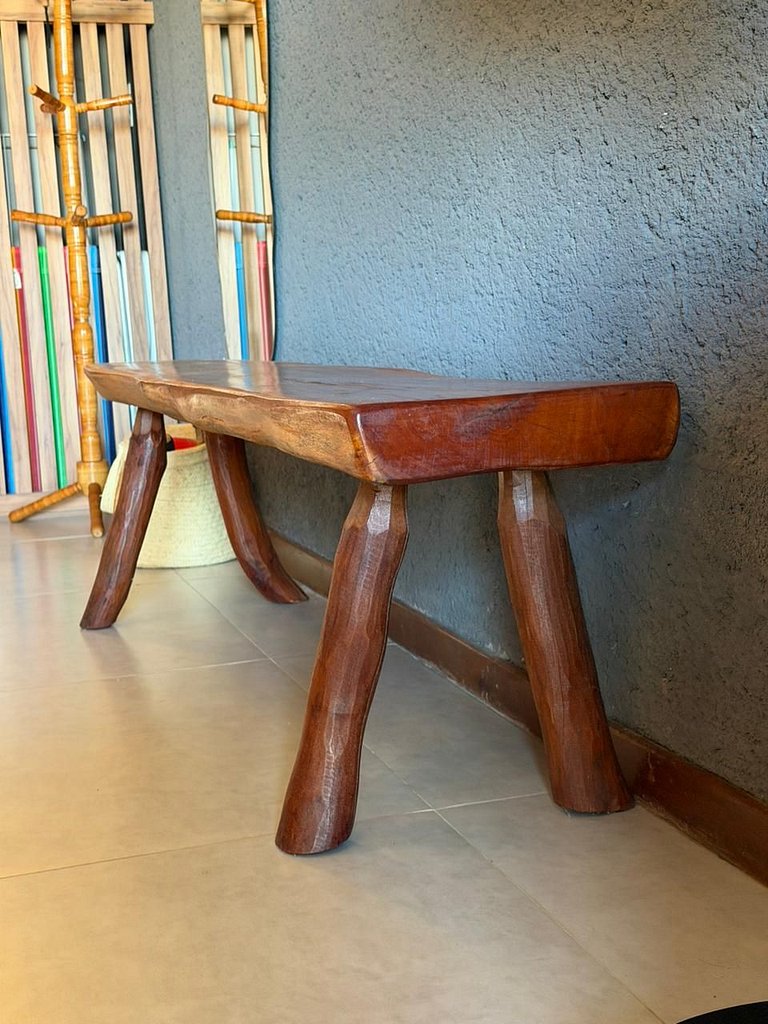 Manatee Patacho Milagres Porto de Pedras