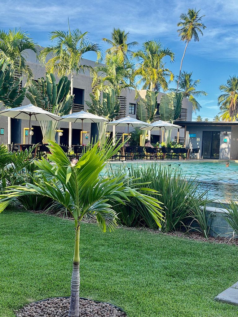 Manatee Patacho Milagres Porto de Pedras