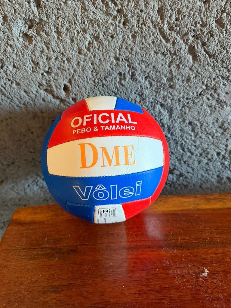 Manatee Patacho Milagres Porto de Pedras