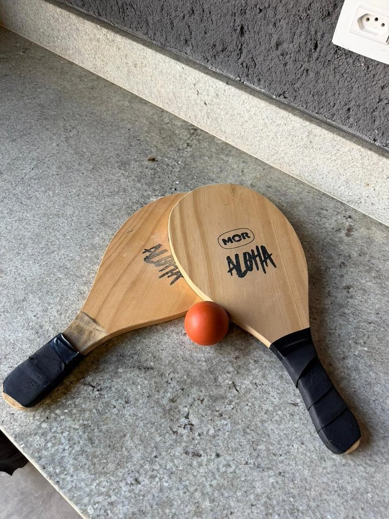 Manatee Patacho Milagres Porto de Pedras