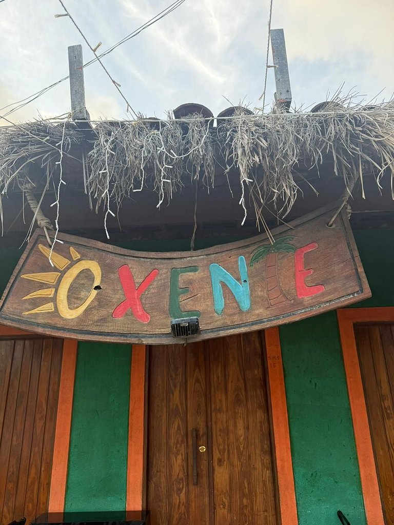 Manatee Patacho Milagres Porto de Pedras