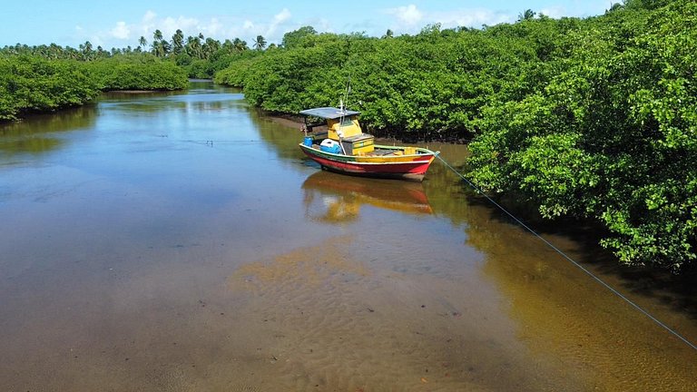 Manatee Patacho Milagres Porto de Pedras