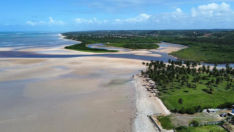 Manatee Patacho Milagres Porto de Pedras